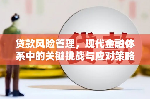 舞钢贷款风险管理，现代金融体系中的关键挑战与应对策略