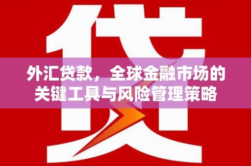 舞钢外汇贷款，全球金融市场的关键工具与风险管理策略