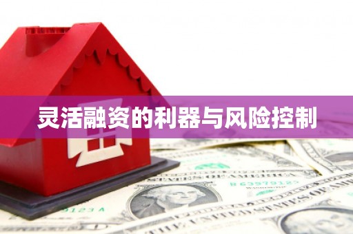 舞钢灵活融资的利器与风险控制