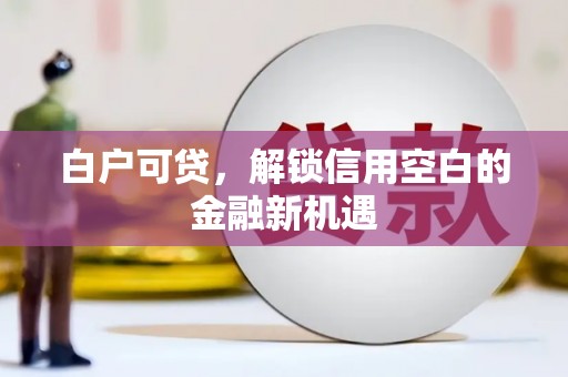 舞钢白户可贷，解锁信用空白的金融新机遇