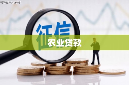 舞钢农业贷款