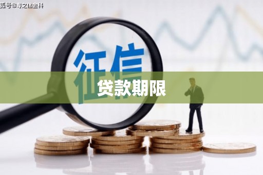 舞钢贷款期限