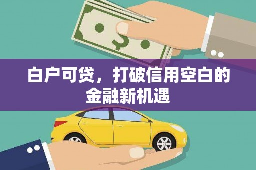 舞钢白户可贷，打破信用空白的金融新机遇