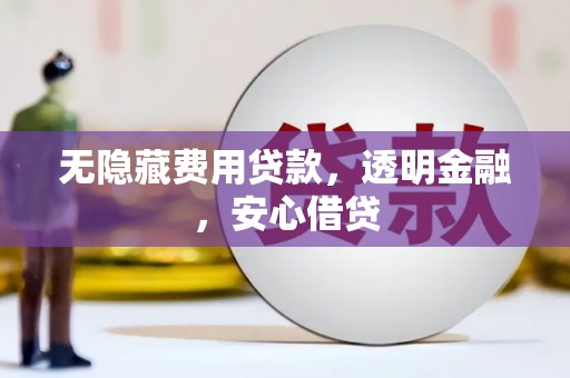 舞钢无隐藏费用贷款，透明金融，安心借贷
