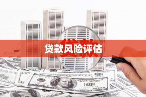 舞钢贷款风险评估
