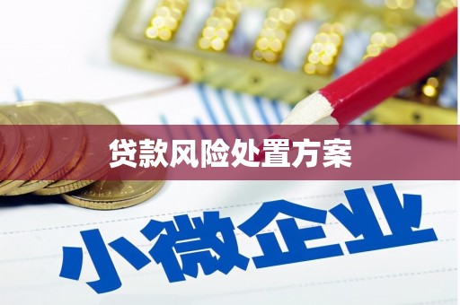 舞钢贷款风险处置方案
