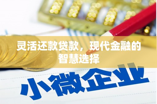 舞钢灵活还款贷款，现代金融的智慧选择