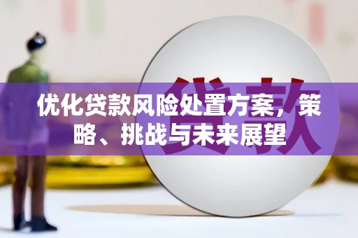 舞钢优化贷款风险处置方案，策略、挑战与未来展望