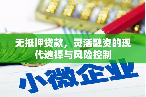 舞钢无抵押贷款，灵活融资的现代选择与风险控制