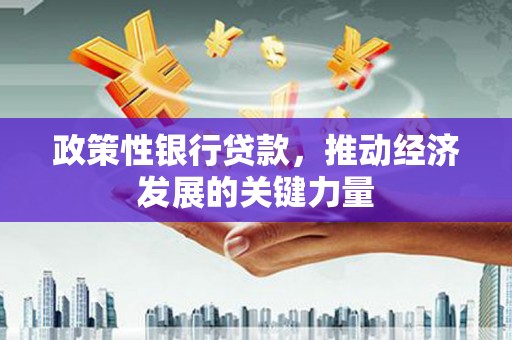 舞钢政策性银行贷款，推动经济发展的关键力量