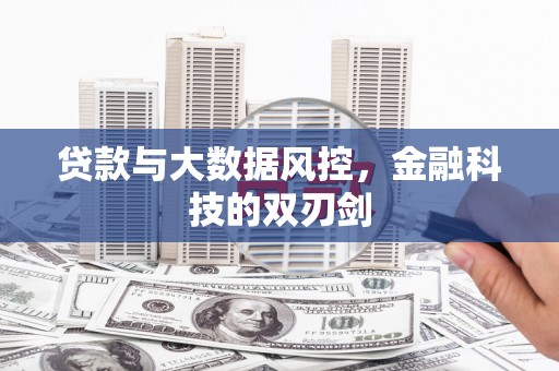 舞钢贷款与大数据风控，金融科技的双刃剑