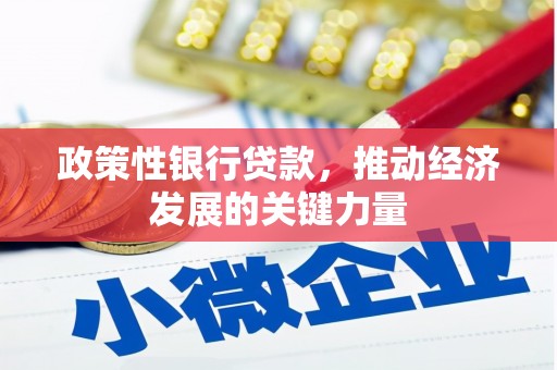 舞钢政策性银行贷款，推动经济发展的关键力量