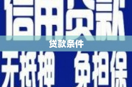 舞钢贷款条件
