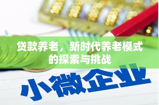舞钢贷款养老，新时代养老模式的探索与挑战