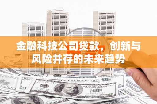舞钢金融科技公司贷款，创新与风险并存的未来趋势