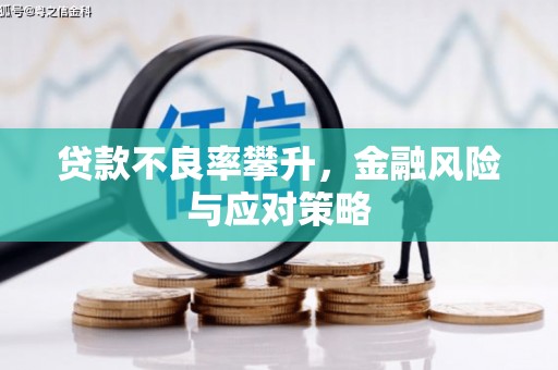 舞钢贷款不良率攀升，金融风险与应对策略