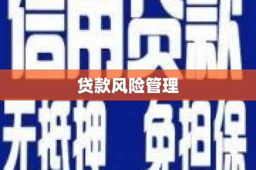 舞钢贷款风险管理