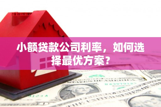 舞钢小额贷款公司利率，如何选择最优方案？