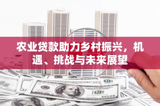 舞钢农业贷款助力乡村振兴，机遇、挑战与未来展望