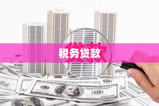 舞钢税务贷款