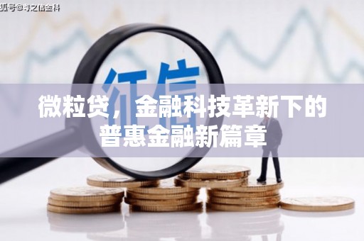 舞钢微粒贷，金融科技革新下的普惠金融新篇章