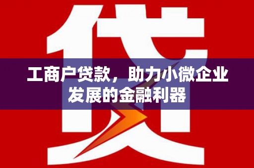 舞钢工商户贷款，助力小微企业发展的金融利器