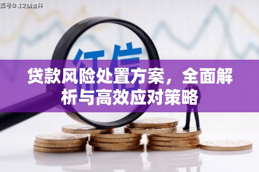 舞钢贷款风险处置方案，全面解析与高效应对策略