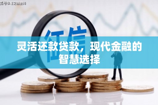 舞钢灵活还款贷款，现代金融的智慧选择