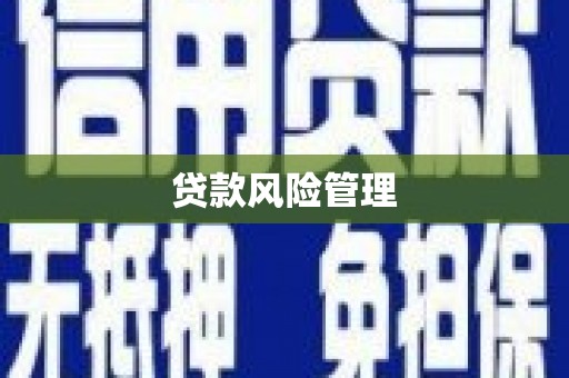 舞钢贷款风险管理