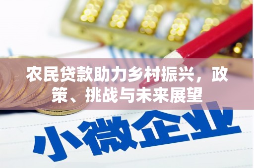 舞钢农民贷款助力乡村振兴，政策、挑战与未来展望