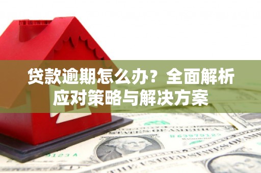 舞钢贷款逾期怎么办？全面解析应对策略与解决方案