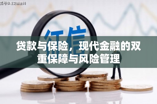 舞钢贷款与保险，现代金融的双重保障与风险管理