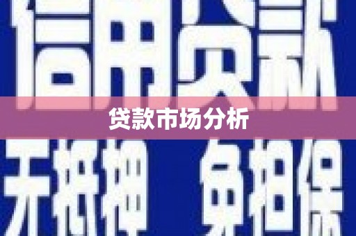 舞钢贷款市场分析