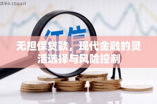 舞钢无担保贷款，现代金融的灵活选择与风险控制