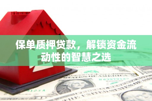 舞钢保单质押贷款，解锁资金流动性的智慧之选
