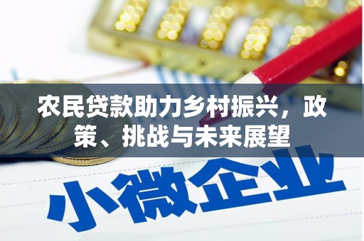 舞钢农民贷款助力乡村振兴，政策、挑战与未来展望