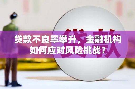 舞钢贷款不良率攀升，金融机构如何应对风险挑战？