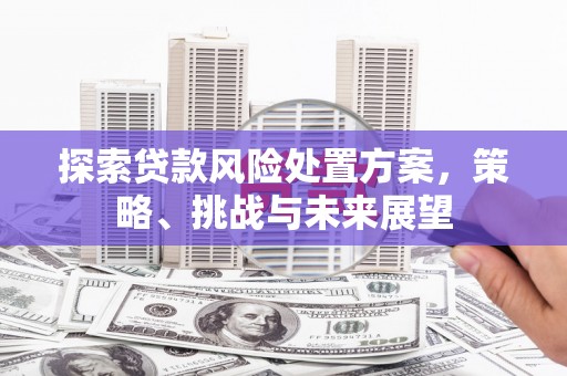 舞钢探索贷款风险处置方案，策略、挑战与未来展望