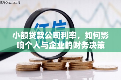 舞钢小额贷款公司利率，如何影响个人与企业的财务决策