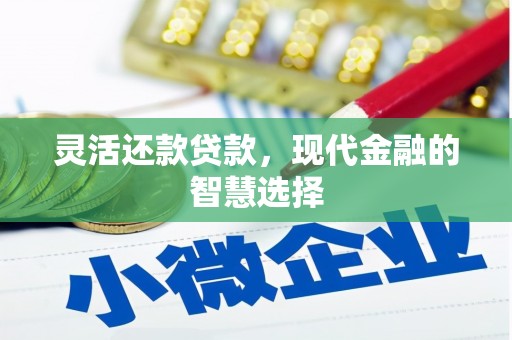 舞钢灵活还款贷款，现代金融的智慧选择
