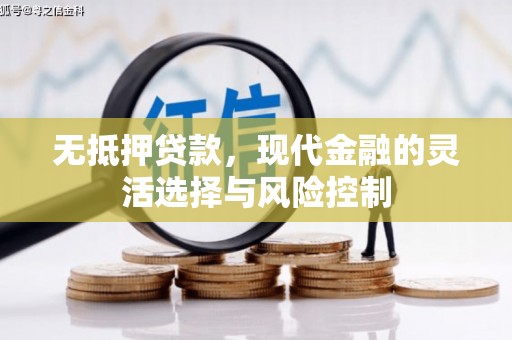 舞钢无抵押贷款，现代金融的灵活选择与风险控制