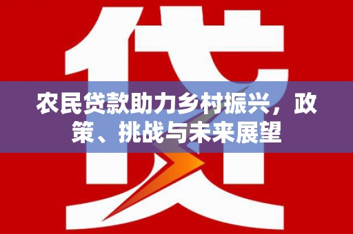 舞钢农民贷款助力乡村振兴，政策、挑战与未来展望