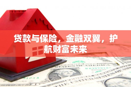 舞钢贷款与保险，金融双翼，护航财富未来