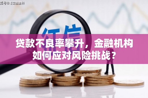 舞钢贷款不良率攀升，金融机构如何应对风险挑战？