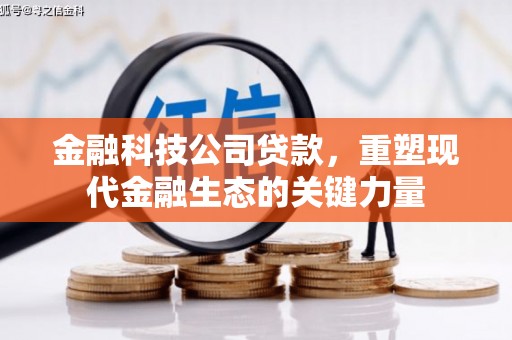 舞钢金融科技公司贷款，重塑现代金融生态的关键力量