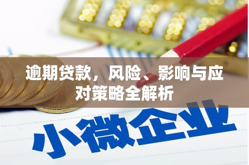 舞钢逾期贷款，风险、影响与应对策略全解析