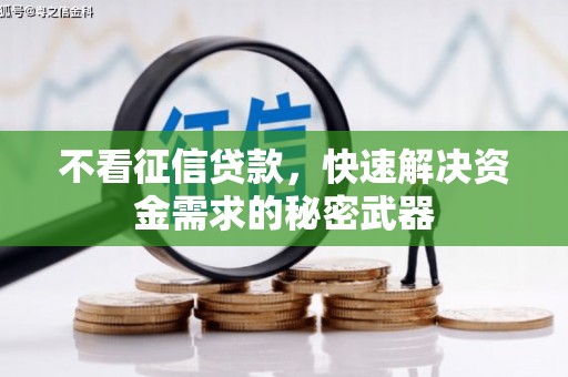舞钢不看征信贷款，快速解决资金需求的秘密武器