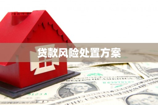 舞钢贷款风险处置方案