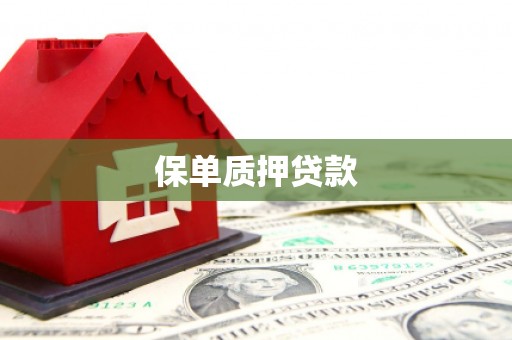 舞钢保单质押贷款