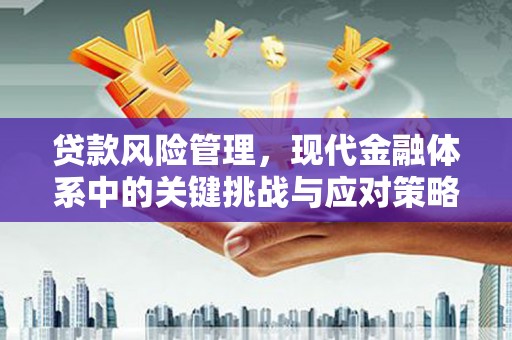 舞钢贷款风险管理，现代金融体系中的关键挑战与应对策略